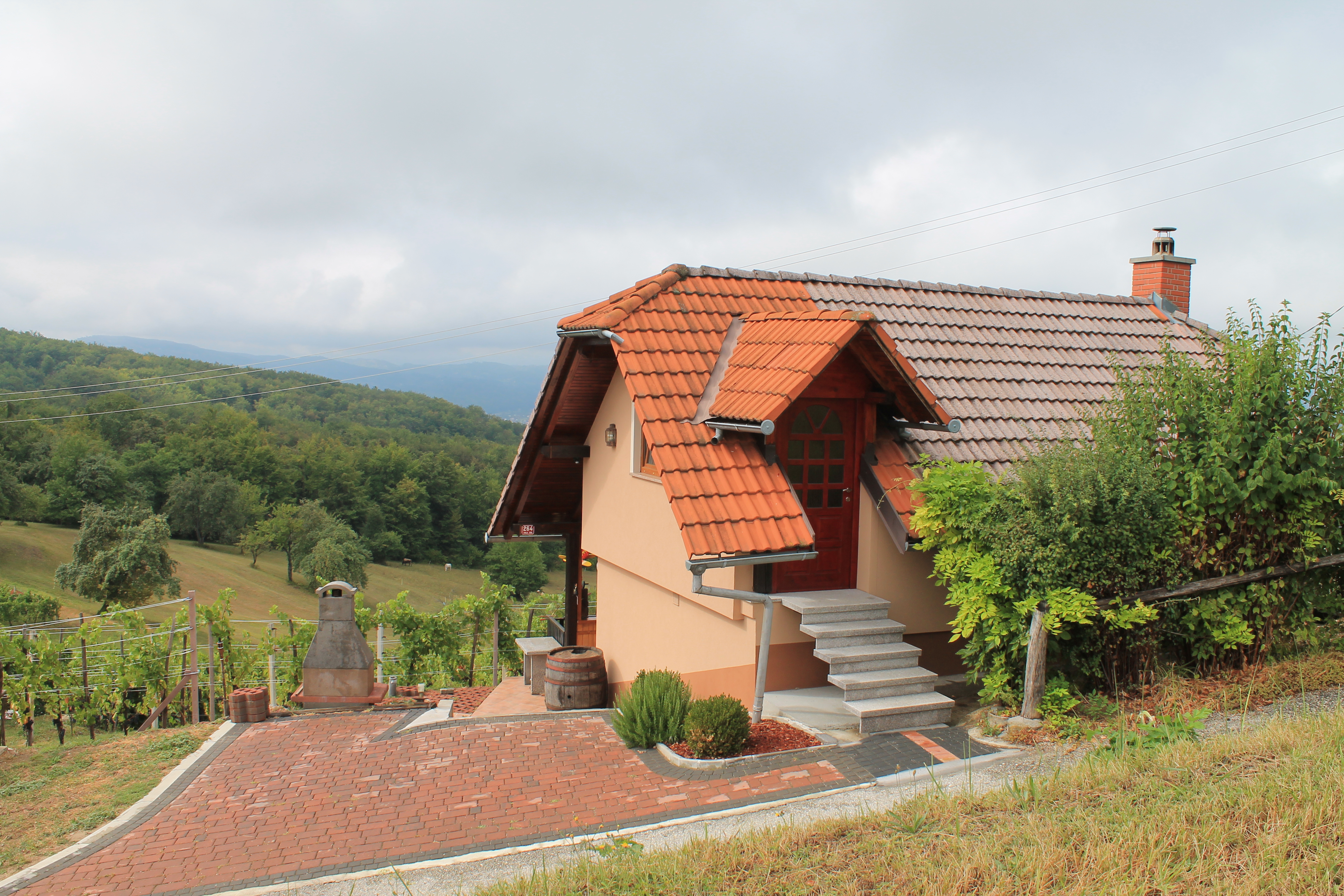 Img 1395 Stories Of Winegrower