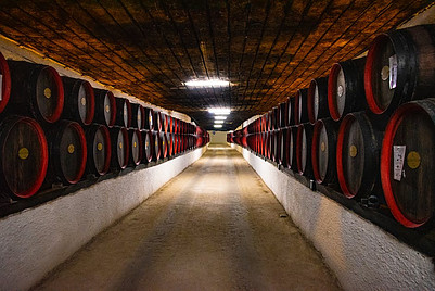 All commercial wine cellar equipment isn't just the basement equipment.