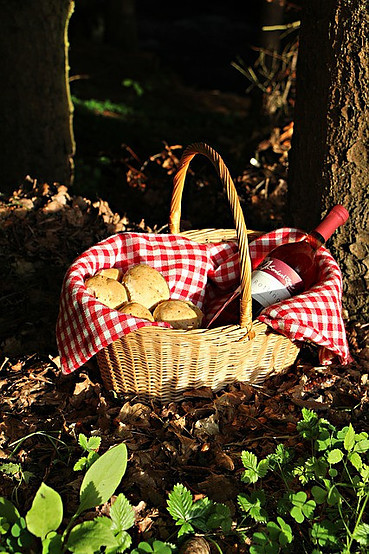 The Wine Gift Basket