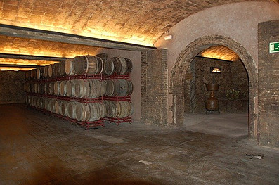 wine cellar equipment
