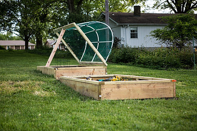 The shallow raised bed is raised 15 to 30 cm from the ground.