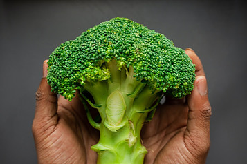 We can Grow broccoli plants twice a year.